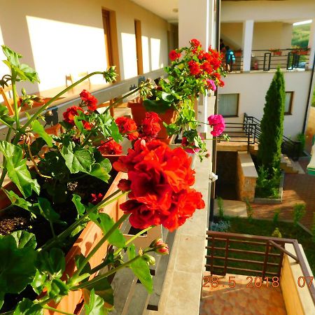 Pension Laura Cheile Turzii Petreştii de Jos Exteriör bild