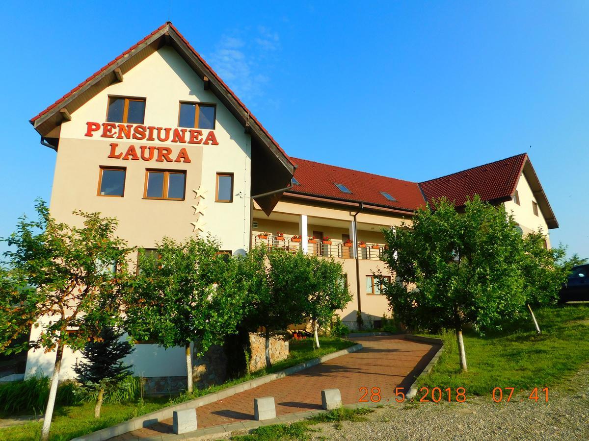 Pension Laura Cheile Turzii Petreştii de Jos Exteriör bild